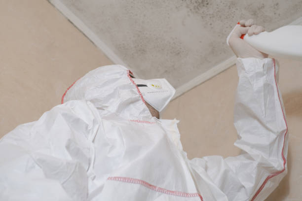 Best Mold Remediation Services  in Crocker, WA