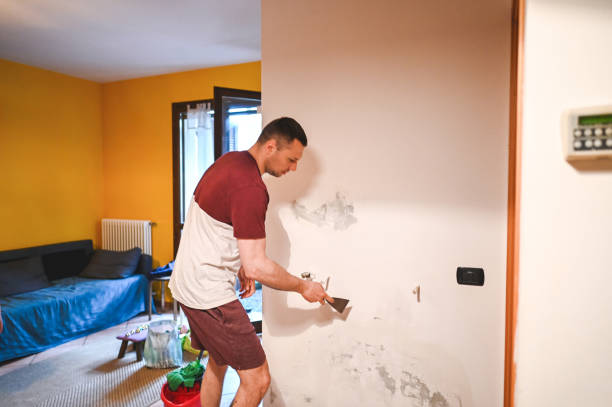 Mold Removal Process in Crocker, WA